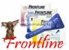 FRONTLINE COMBO Spot On kullancs és bolha elleni csepp macskáknak