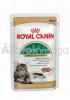 RoyalCanin Maine Coon Adult-felnőtt alutasakos macskaeledel 85 g-os