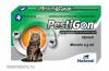Pestigon Spot On csepp macska 4x0,5 ml